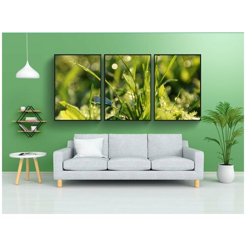 фото Набор модулных постеров для интерьера "бабочка, капля воды, природа" 60x90 см. в тубусе, без рамки lotsprints