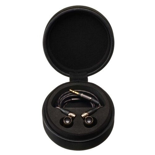 Наушники внутриканальные JVC HA-FW10000-F 19999000₽