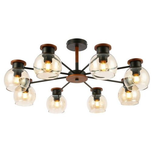 Потолочная люстра Evo Luce SLE108102-08