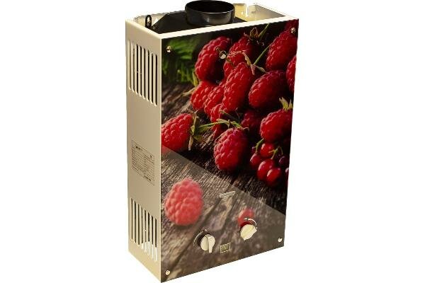 Колонка газовая WERTRUS 10EG BERRY