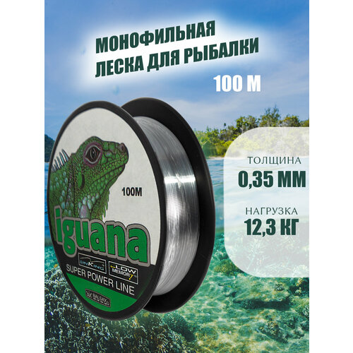 фото Леска монофильная iguana 0,35мм 100м нет бренда