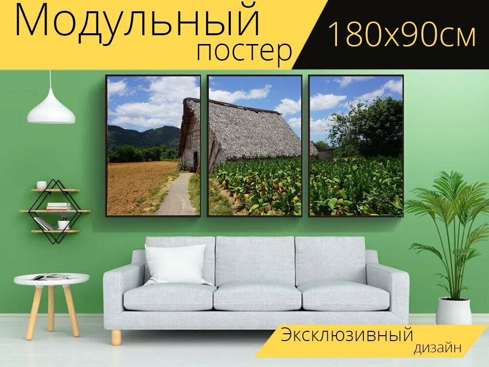 Модульный постер  Куба  виньялес  плантация  180 x 90 см  для интерьера