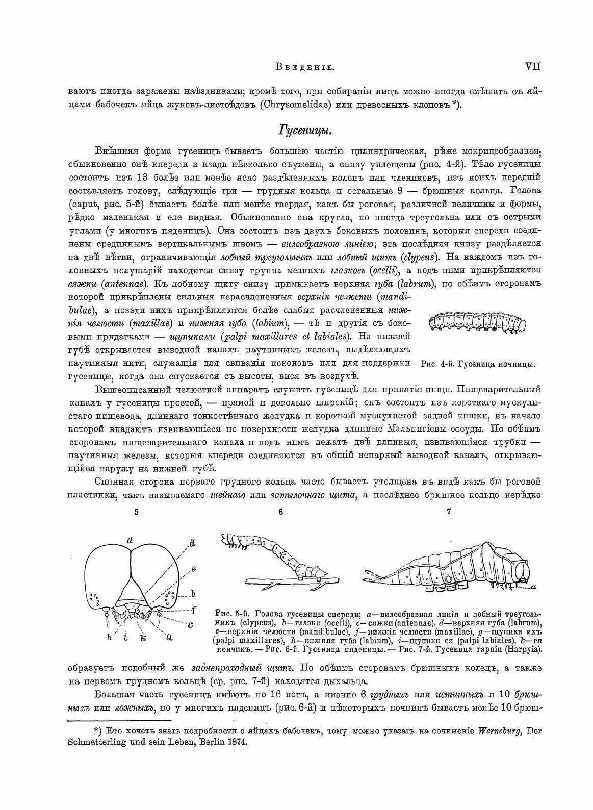 Книга Атлас Бабочек Европы и Отчасти Русско-Азиатских Владений - фото №3