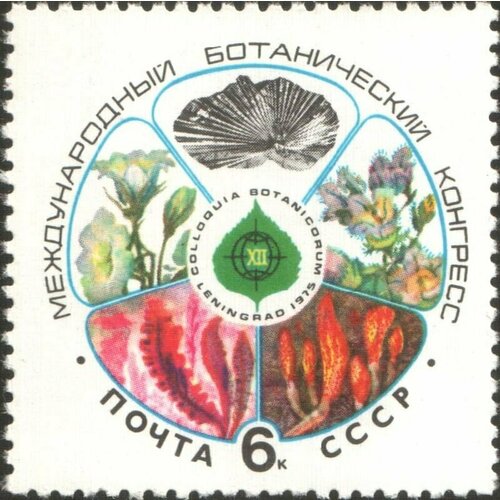 Почтовые марки СССР 1975г. 12-й Международный ботанический конгресс Флора, Цветы MNH почтовые марки ссср 1969г 6 й международный кинофестиваль кино кинокамера mnh