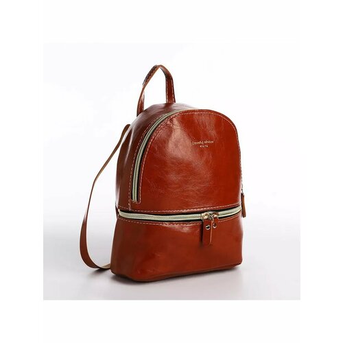 Рюкзак на молнии цвет коричневый 889₽