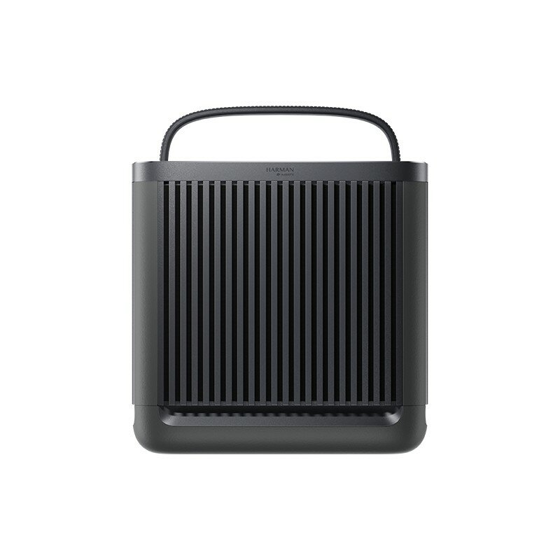 Беспроводная колонка Xiaomi Outdoor Bluetooth Speaker Camp (ASM06A), черный, CN