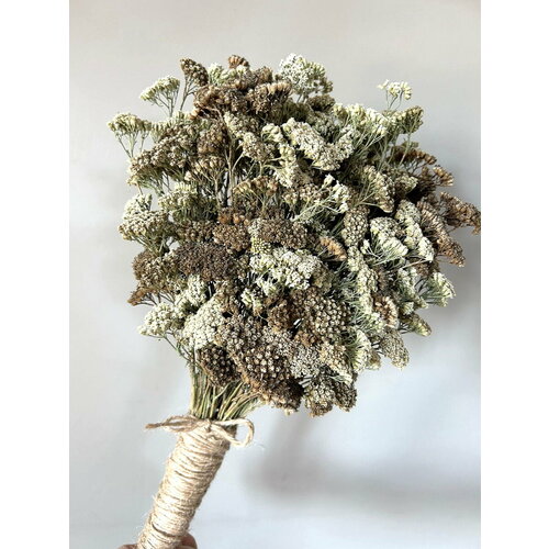 Веник для бани и сауны из тысячилистника. Запарка для бани.