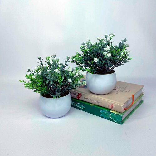 Гипсофила в кашпо - 2 штуки