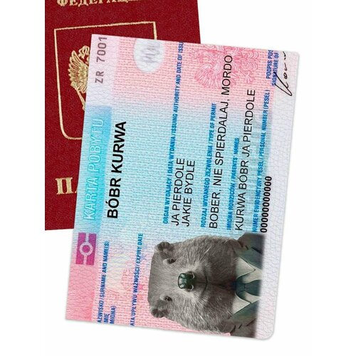 Обложка для паспорта , белый