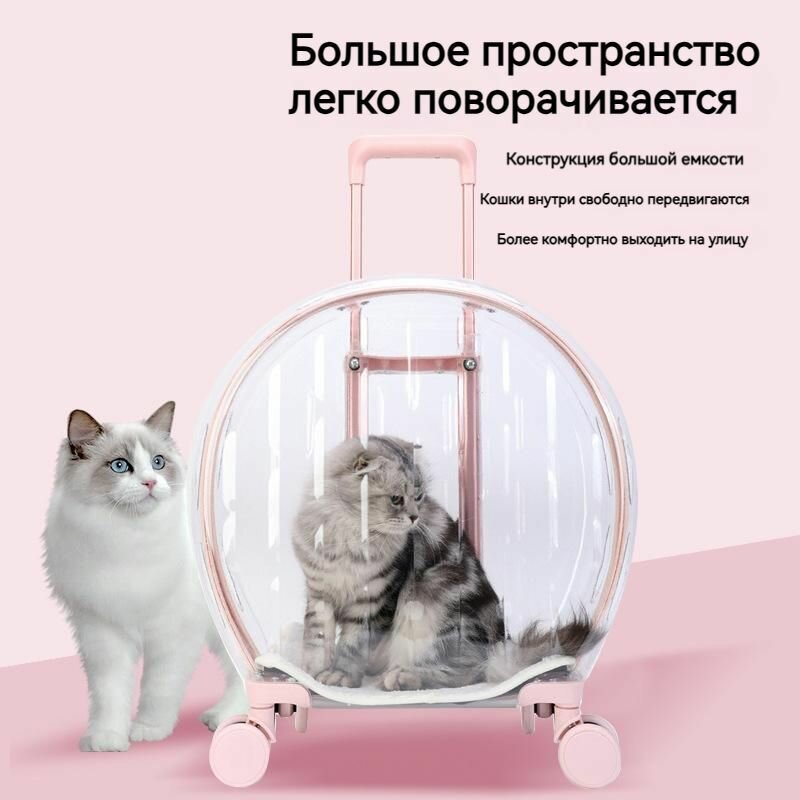 Переноска — фото 1