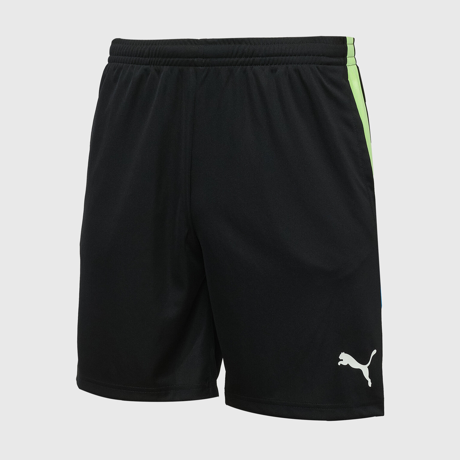 Шорты спортивные PUMA Individualliga