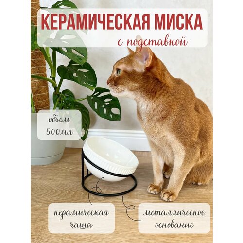 Миска керамическая большая для кошек и собак на подставке с ушками