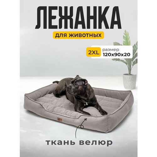 Лежанка для Кошек и Собак Большая с Бортиками и Подушкой