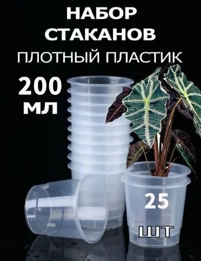 Кашпо, цвет прозрачный, белый
