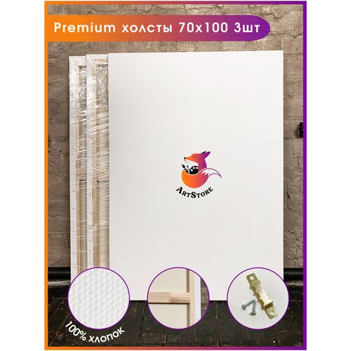 ArtStore / Холст на подрамнике 70х100, 400 мг/м2, 100% хлопок, 3х слойный акриловый грунт, среднее зерно, 3 шт