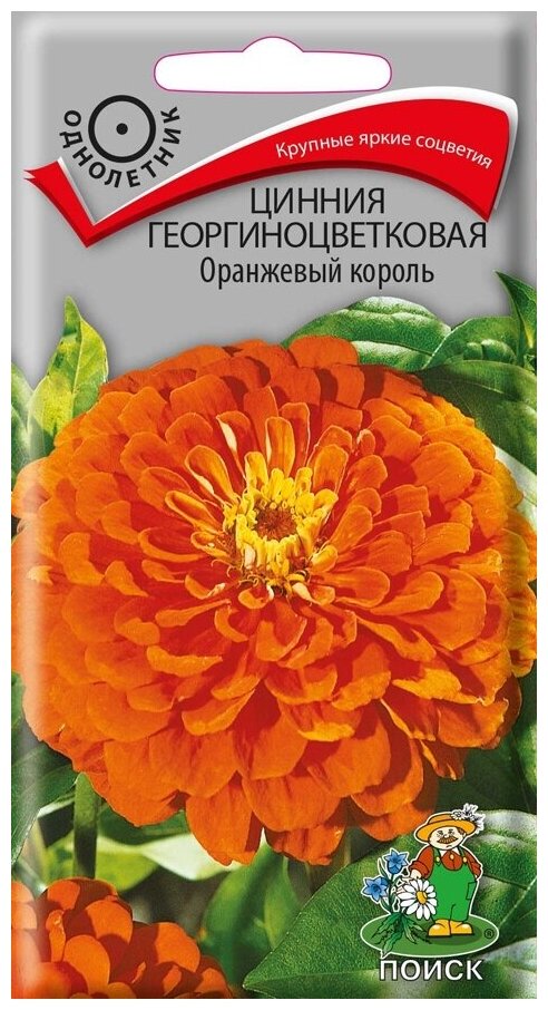 Семена Цинния георгиноцветковая Оранжевый король однолетние 04 гр.