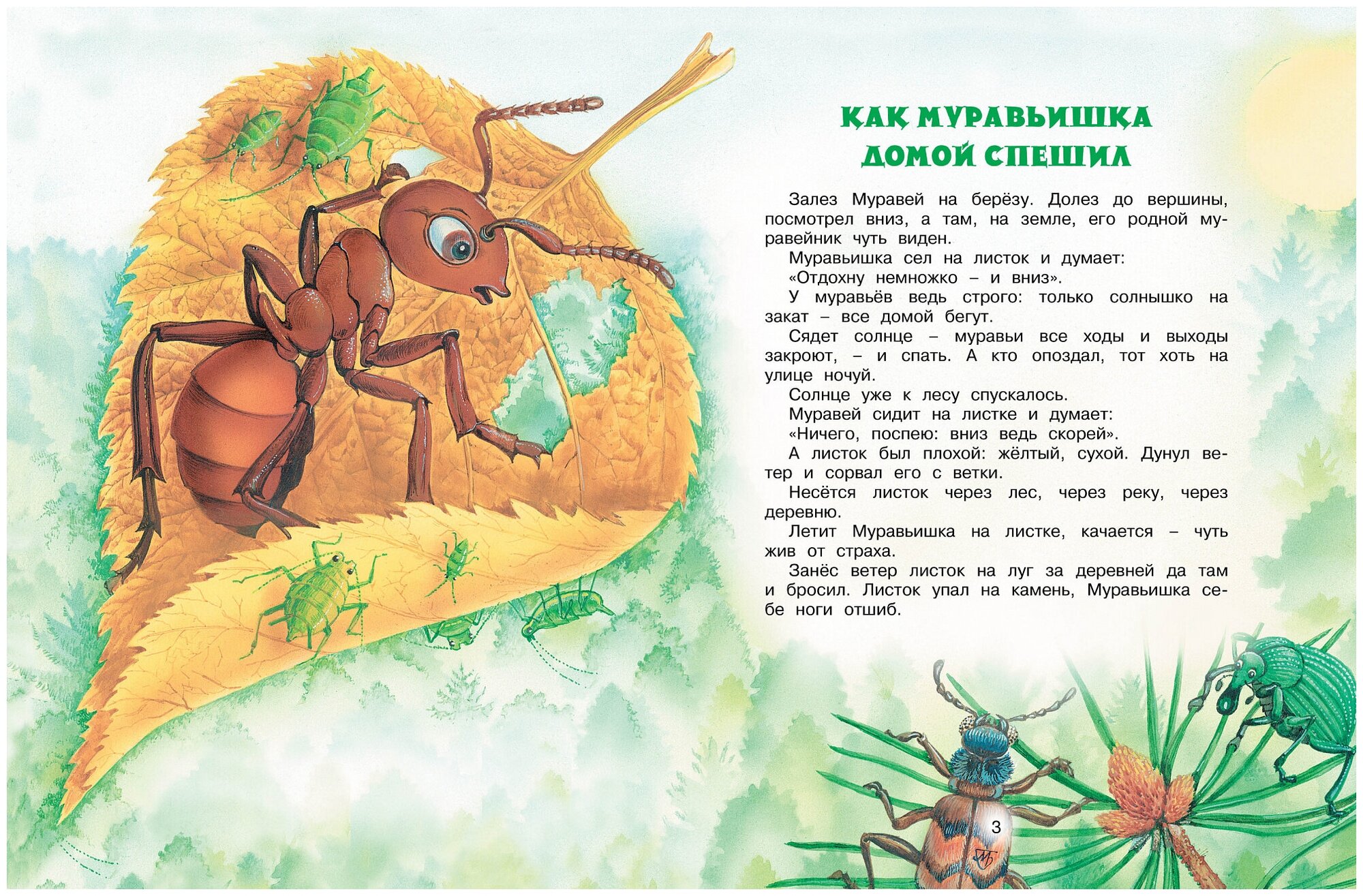 Бианки В. В. Как Муравьишка домой спешил. 
