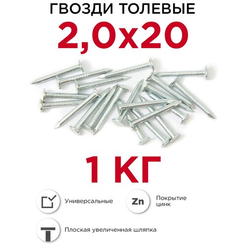 МТК Гвозди толевые Zn пакет 1 кг, 2,0x20 1770020020 .