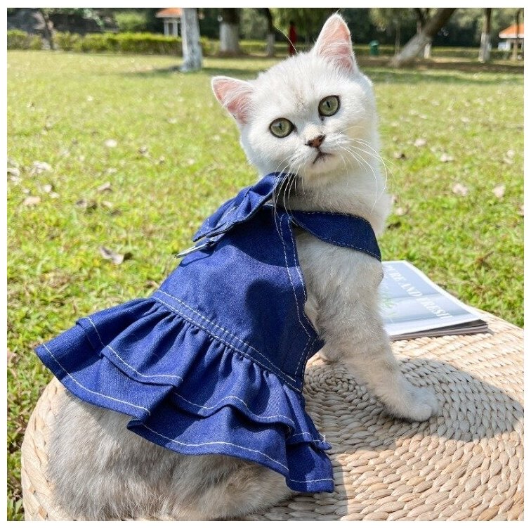 Платье для собак мелких пород и кошек. Джинсовое. Размер XL (38см) - фотография № 14
