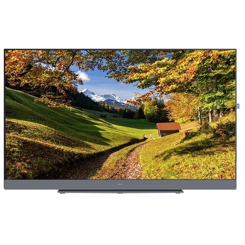 Телевизор Loewe We SEE 50 Storm Grey 19990000₽