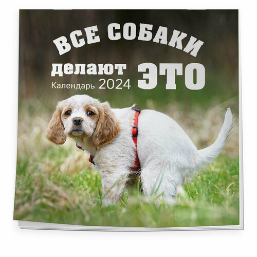 Все собаки делают это. Календарь настенный на 2024 год (300х300)