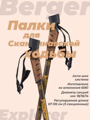 Палки для скандинавской ходьбы BERGER Explorer 3-секционные, 67-135 см, коричневый