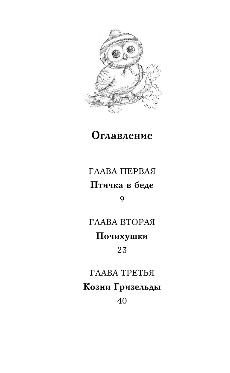 Совёнок Матильда, или Три добрых дела - фото №11