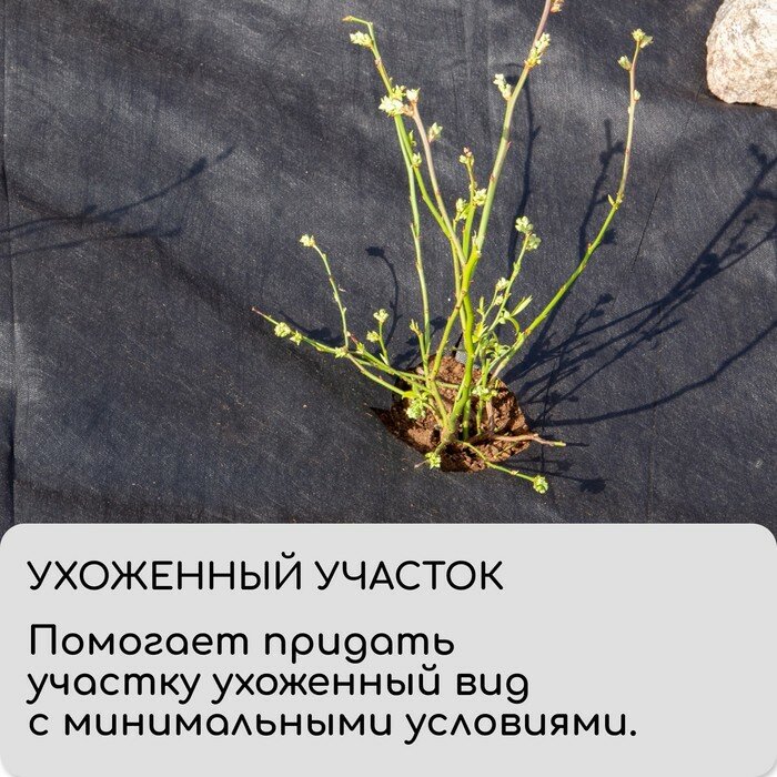 Круг приствольный d = 08 м плотность 60 г/м² спанбонд с УФ-стабилизатором набор 5  чёрный Greengo Эконом 20%