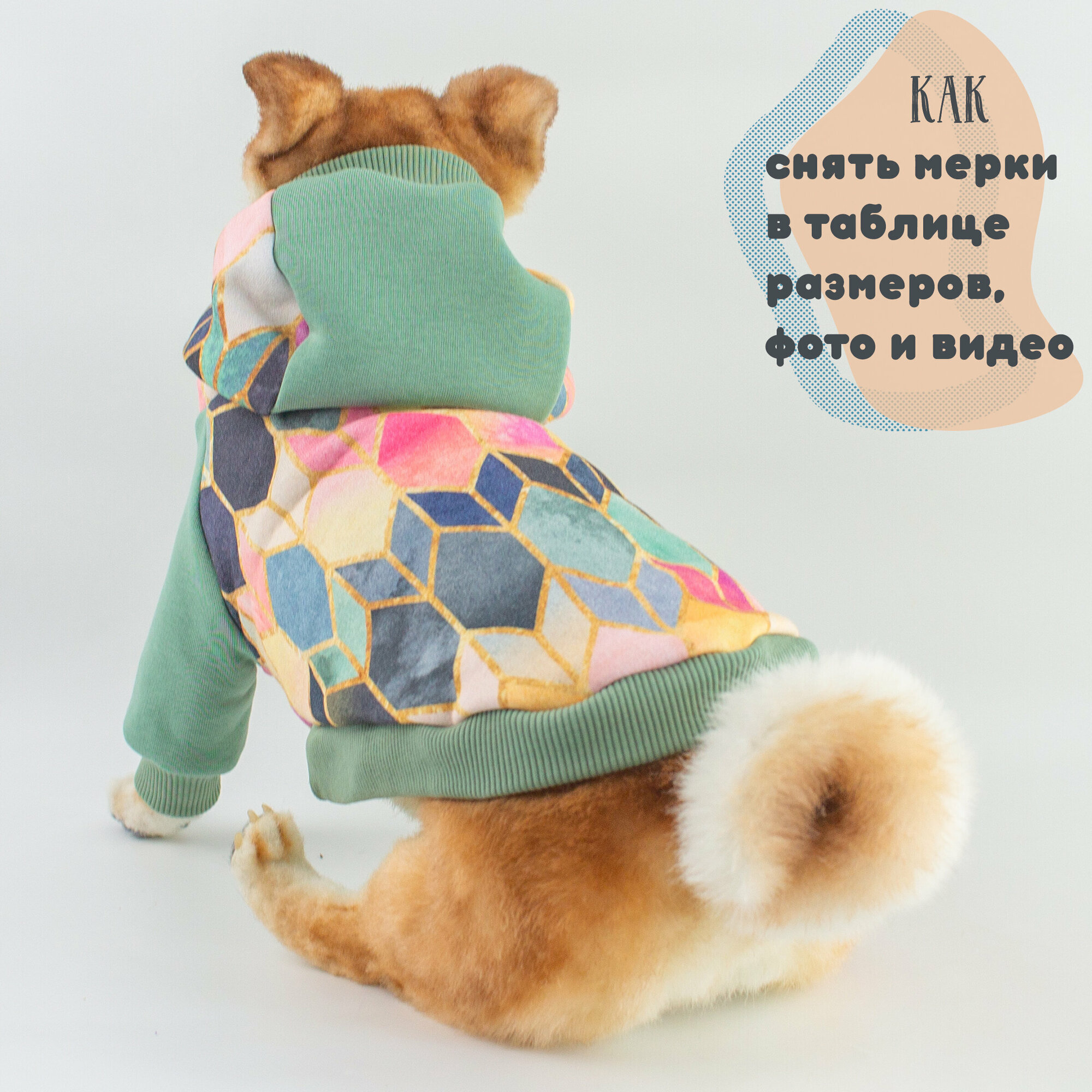 Тёплая толстовка для собак Элегантный Кот, Мятные Сладости , размер XL - фотография № 10