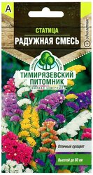Семена цветы статица Радужная смесь 0,1г Тимирязевский питомник