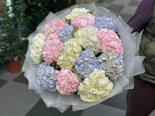 Изображение товара Букет Wowflo "Гортензия микс" 21шт, 60см, под ленту, оберточная бумага, пленка