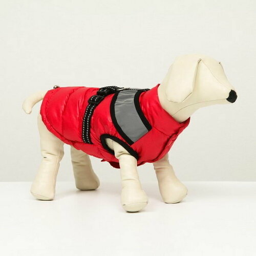 Куртка для собак со светоотражающей шлейкой, размер14