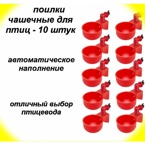 Поилки чашечные для птиц-10 шт