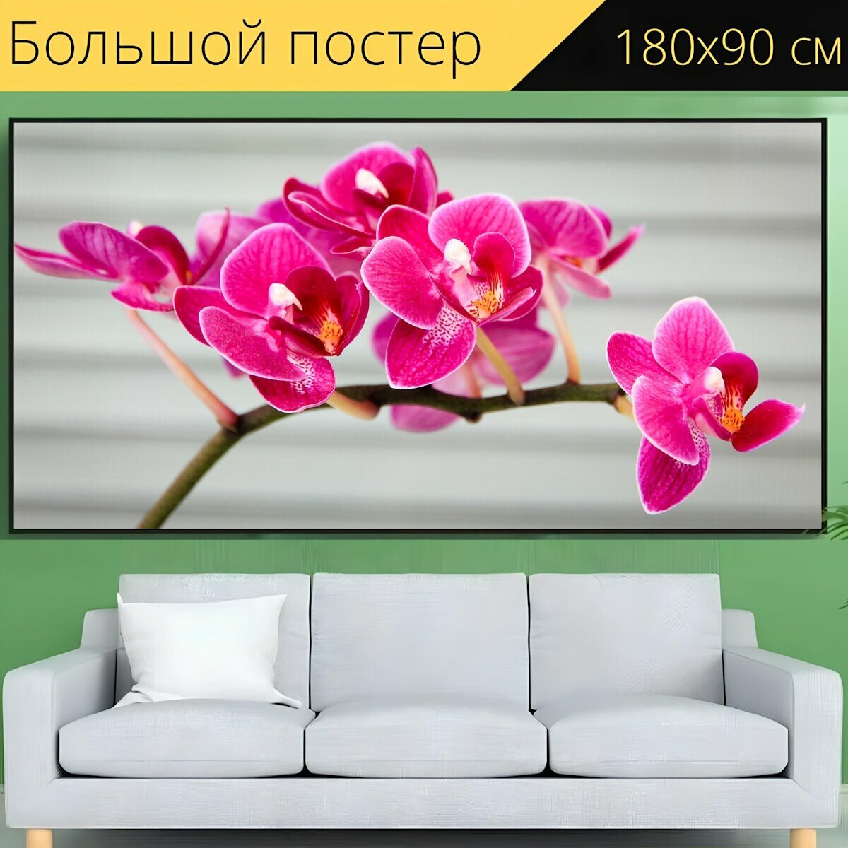 Большой постер "Орхидея, розовый, флора" 180 x 90 см. для интерьера