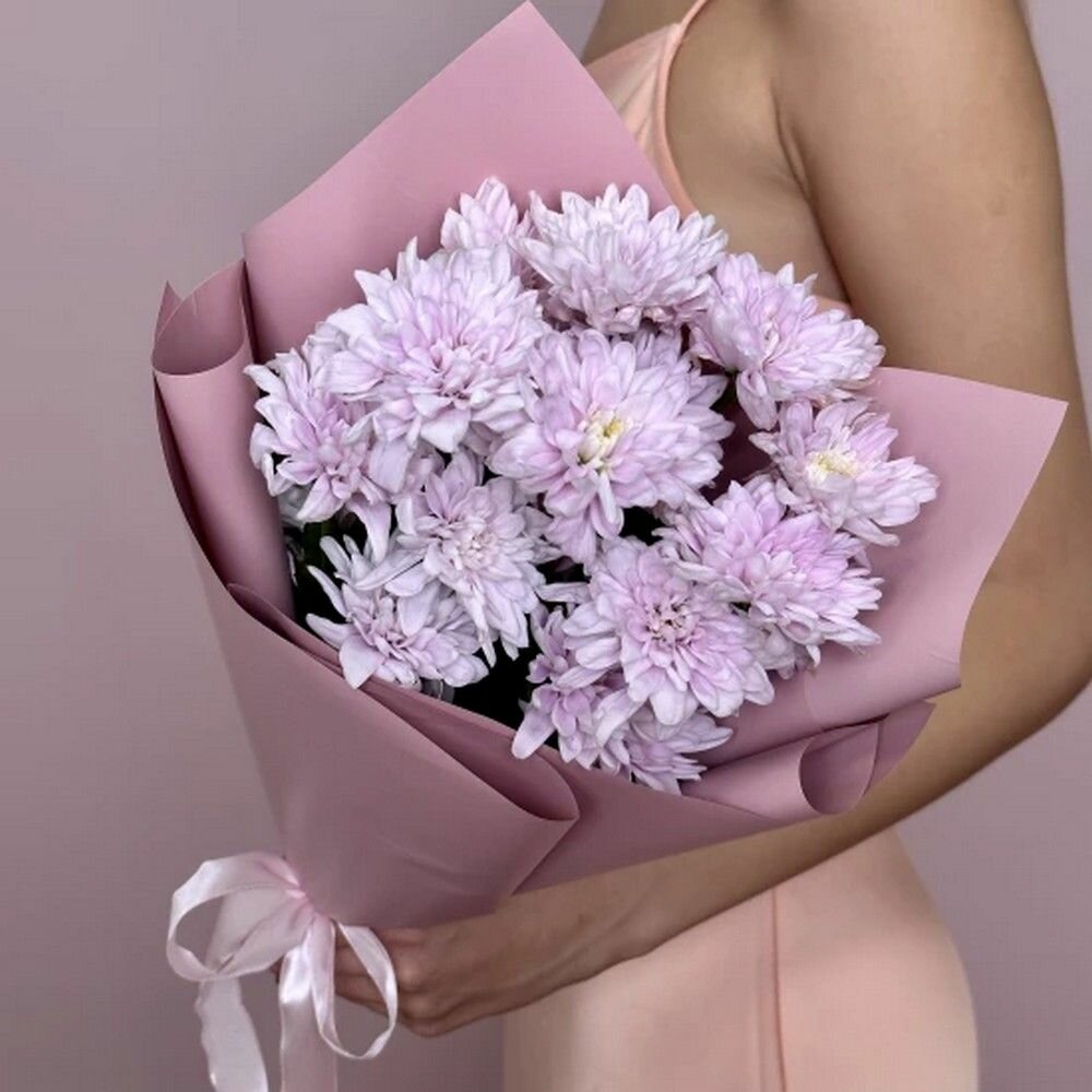 Цветы живые букет из хризантем в упаковке с лентой 