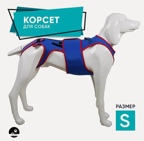 Изображение товара Корсет для спины собаки при болезни межпозвоночных дисков (IVDD). Размер S