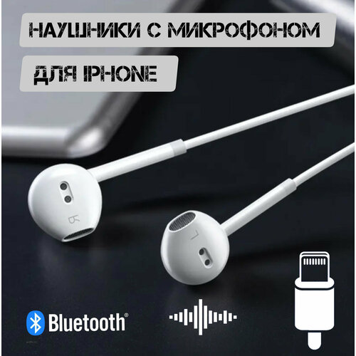 Наушники проводные для iphone Разъем Lightning 7 8 X Xs Xr 11 11 pro max 990₽