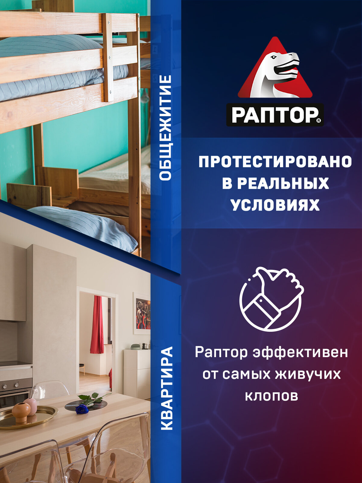 Аэрозоль Раптор универсальный от насекомых — фото 1