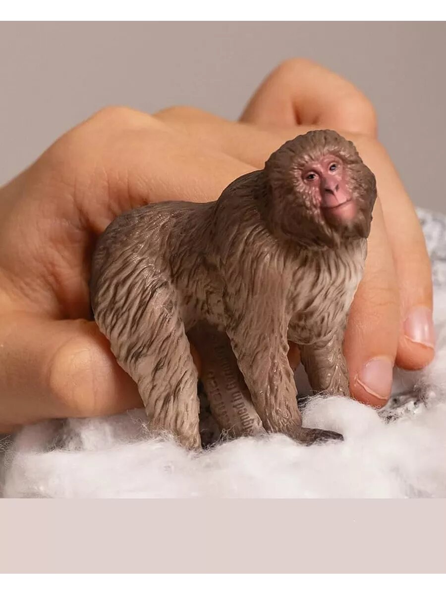 Животное обезьяна Японская макака — фото 1