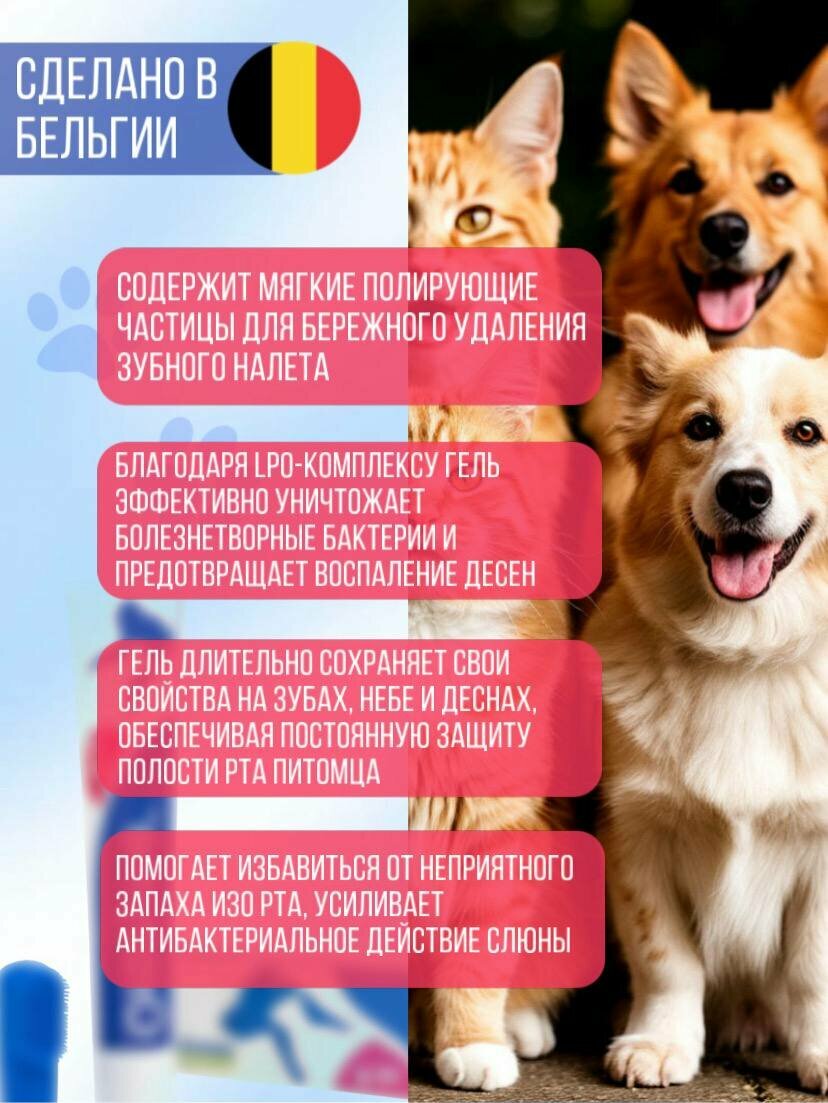 Картинки Новый Орозим-гель для животных/для ухода за полостью рта/для собак/для кошек + щетка в подарок