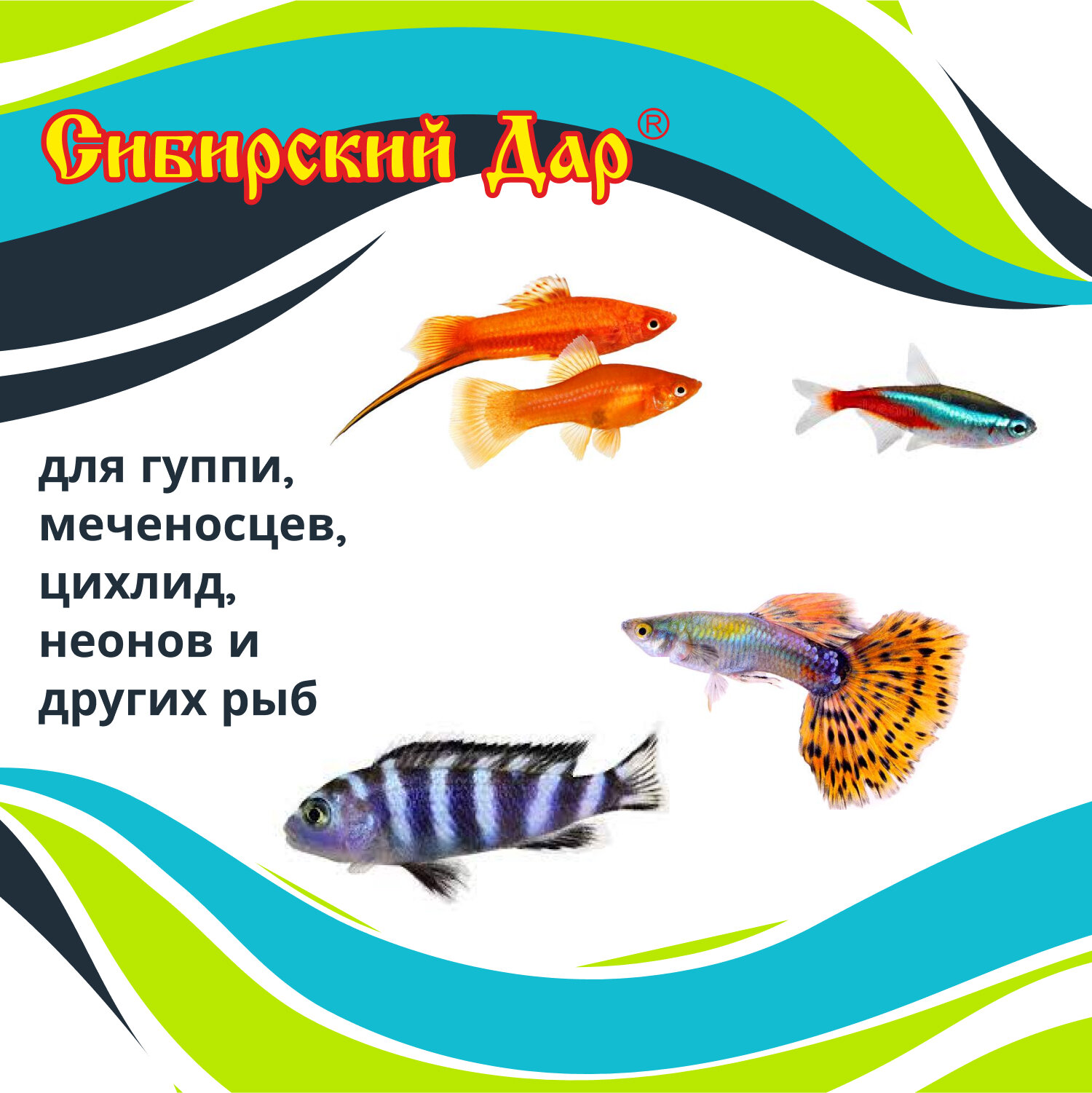 Корм для рыб "Сибирский дар" - гаммарус (тушка), 250 мл - для рыб всех размеров и возрастов - фотография № 3