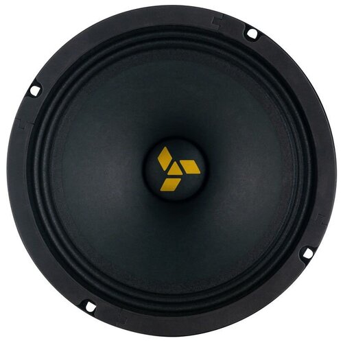 Колонки автомобильные Swat MAS-80Pro без решетки 200Вт 93дБ 4Ом 20см 8дюйм ком2кол широкополосные однополосные 355000₽