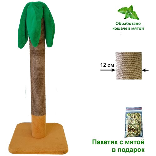 Когтеточка 