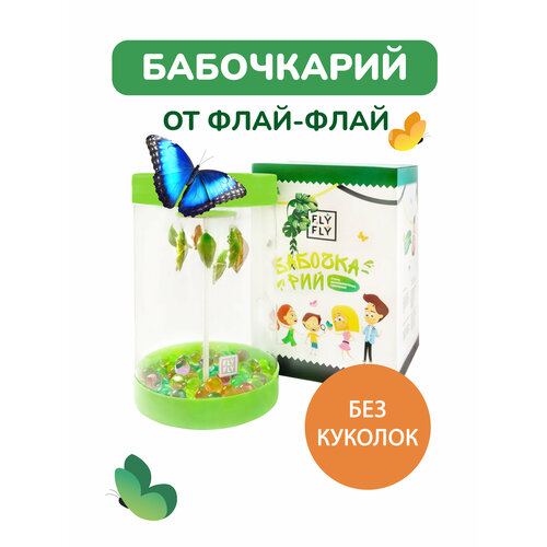 Бабочкарий инсектарий (ферма бабочек) / Детский развивающий набор для исследований от Флай-Флай