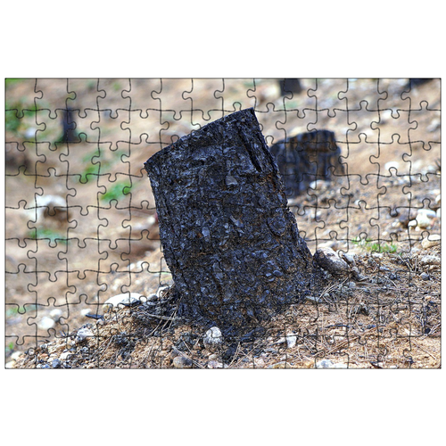 фото Магнитный пазл 27x18см."пожар, лес, сгоревшее крепление" на холодильник lotsprints
