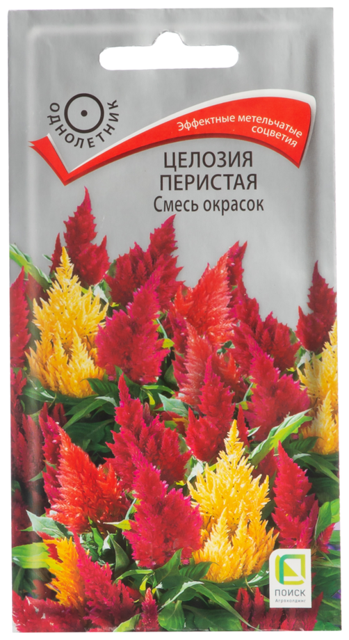 Целозия перистая Смесь окрасок однол. 0,1гр. (Поиск)