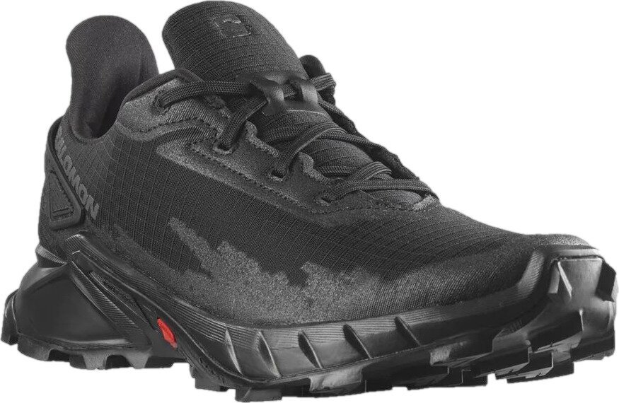 Кроссовки Salomon ALPHACROSS 4 GTX