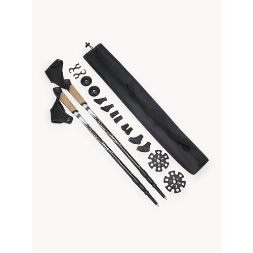 Палки для скандинавской ходьбы PALKIPALKI manGO Classic набор с аксессуарами и чехлом, черные