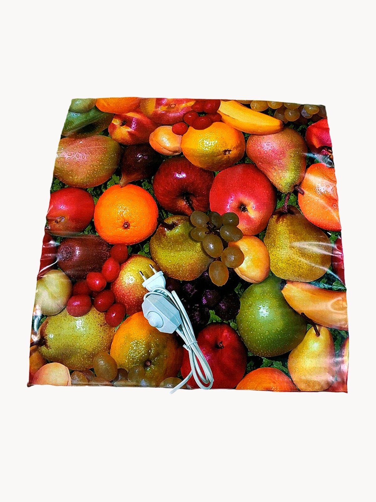 Электросушилка для трав, ягод, овощей и фруктов "Самобранка" с терморегулятором 50х50 см