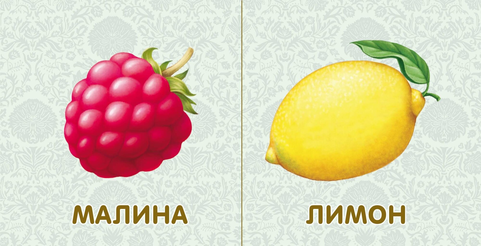 Фрукты и… (Гагарина М. (ред.)) - фото №12